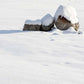 KITCHIBE YUKI  粉雪 室內香薰油
